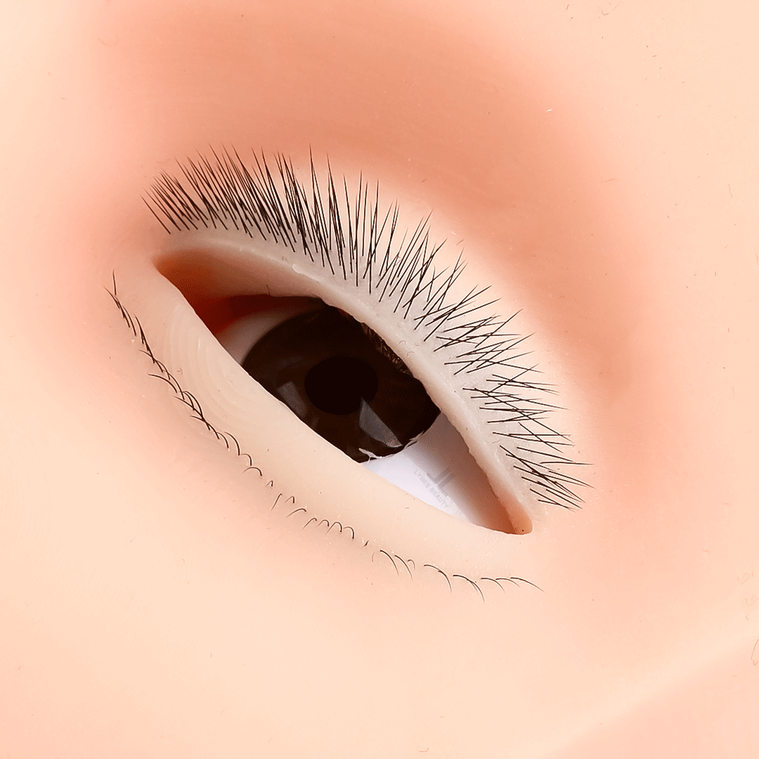 Manekin Mini 4 Lapis untuk Lat - Eyelash Extension Open Eye ulasan dan harga